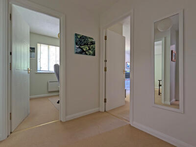 Picture 14